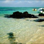 flickr(1)